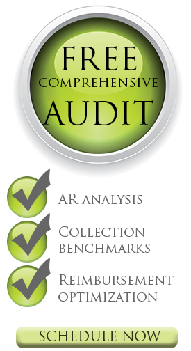 Free Comprehensive Audit